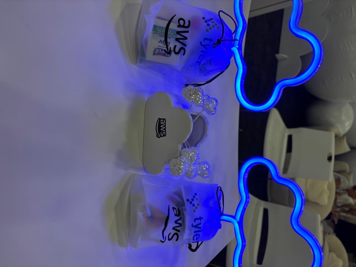 TylerConnect selected artifact 3